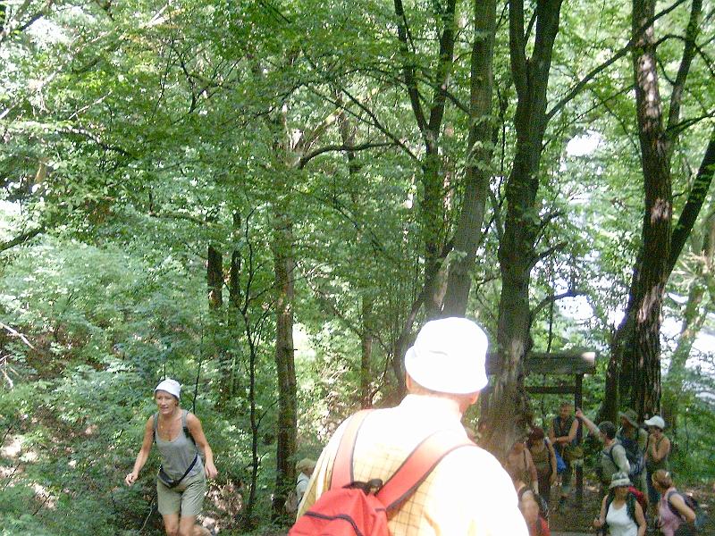2010.07.24. 039.jpg